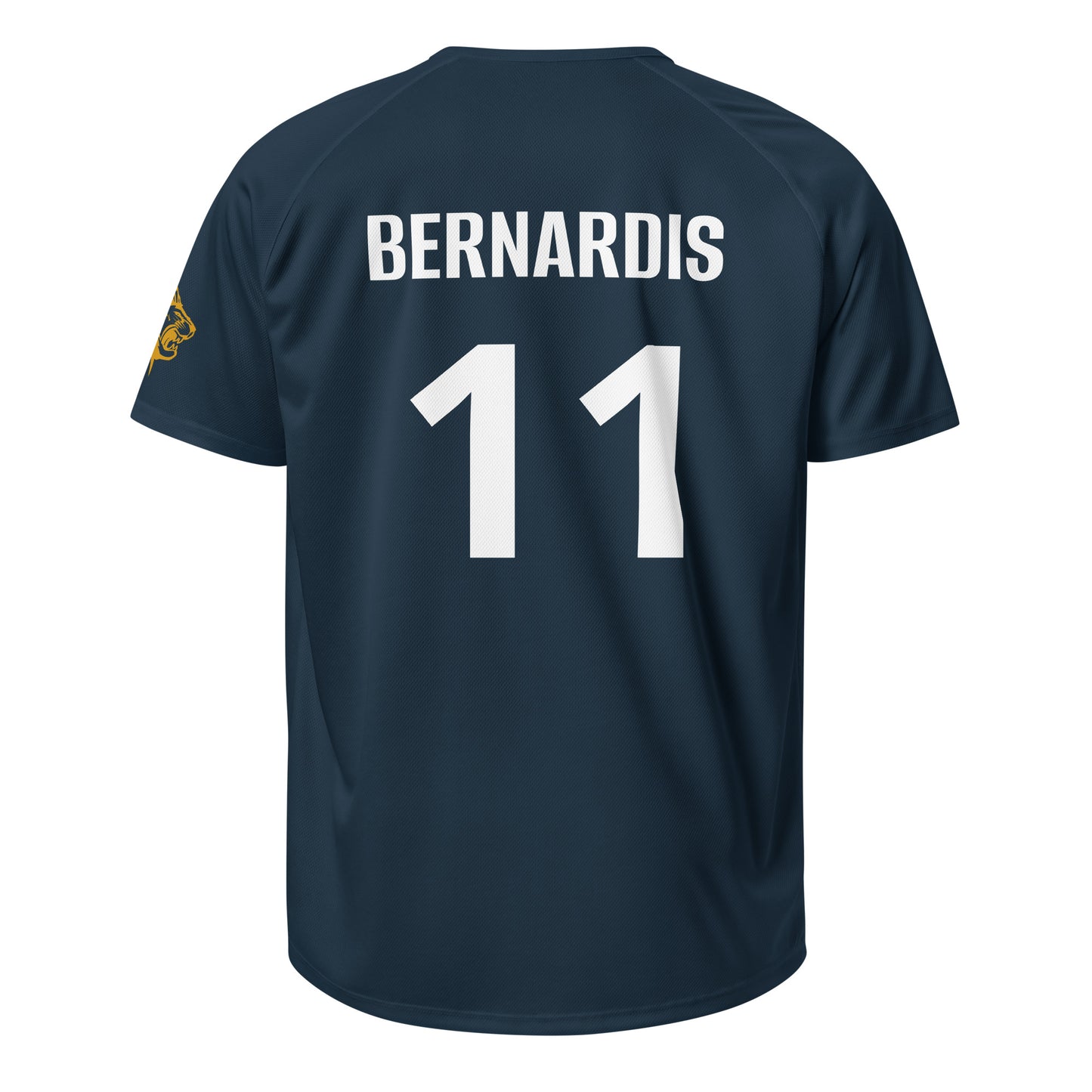 ZIS Volleyball Training Shirt 2024 "Bernardis"